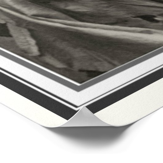 Alphonse Mucha Poster 16 x 20 (Ecke)