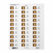 Alphonse Mucha Style Orange Cat (Vorne)