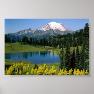 Alpin Landschaftlich, Washington Poster