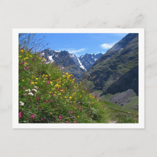 Alpine Beauty Postkarte