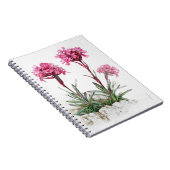 Alpine Catchfly Aquarell Fine Art Notizbuch Notizblock (Rechte Seite)