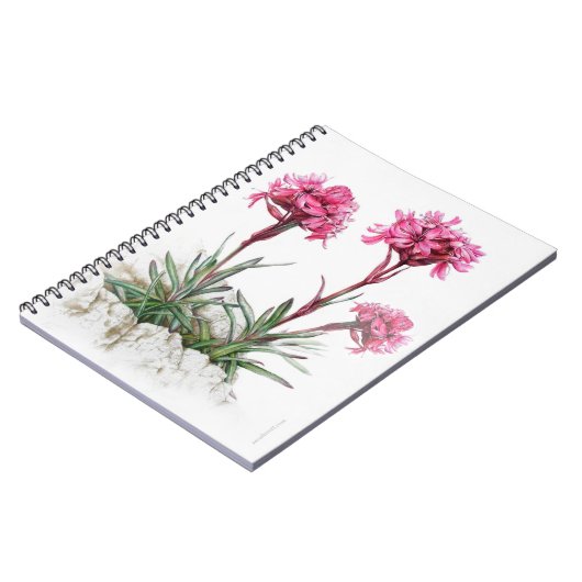 Alpine Catchfly Aquarell Fine Art Notizbuch Notizblock (Linke Seite)