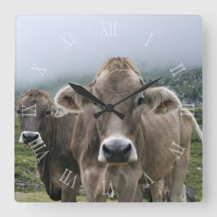 Alpine cows clock with numbers quadratische wanduhr