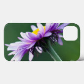Alpine Daisy Case-Mate iPhone Hülle (Rückseite (Horizontal))