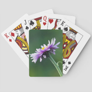 Alpine Daisy Spielkarten