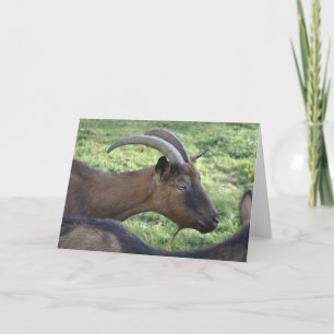 Alpine goat note card karte