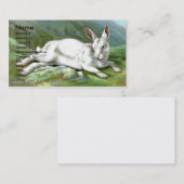 Alpine Hasen Visitenkarte (Vorne/Hinten)