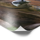 Alpine Kuh Print Fotodruck (Ecke)