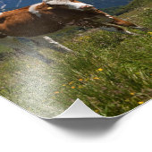 Alpine Kuh Print Fotodruck (Ecke)