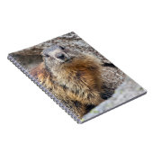 Alpine-Marmot-Notebook Notizblock (Rechte Seite)