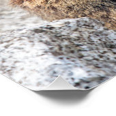 Alpine Marmot Print Fotodruck (Ecke)