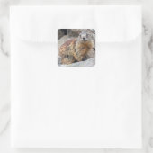 Alpine Marmot Sticker (Tasche)