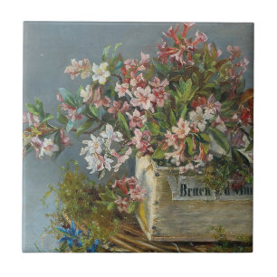Alpine Rose in einer Windows Box - Andreas Lach Fliese