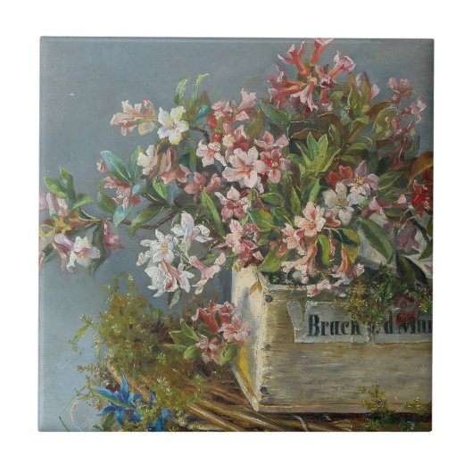 Alpine Rose in einer Windows Box - Andreas Lach Fliese (Vorderseite)