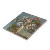 Alpine Rose in einer Windows Box - Andreas Lach Fliese (Seite)