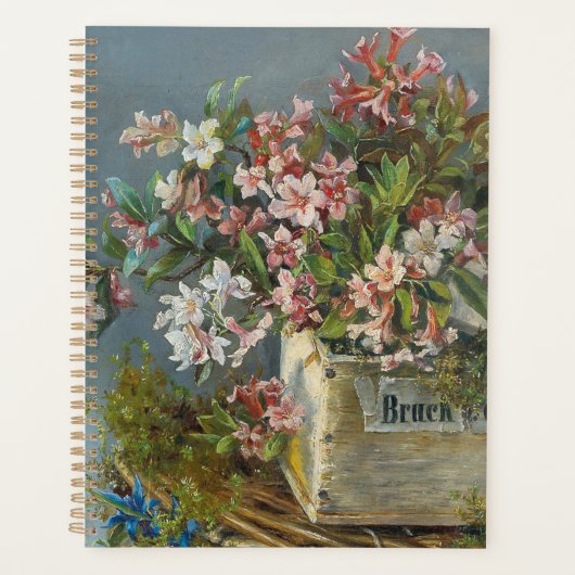Alpine Rose in einer Windows Box - Andreas Lach Planer (Vorderseite)