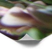 Alpine Tundra-Serie Poster (Ecke)