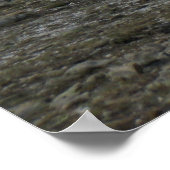 Alpine Tundra-Serie Poster (Ecke)