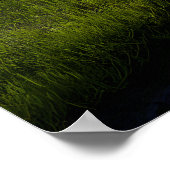 Alpine Valley Stream Green Meadows Snowy Peaks Poster (Ecke)