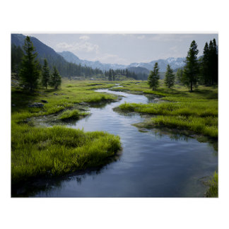 Alpine Valley Stream Green Meadows Snowy Peaks Poster