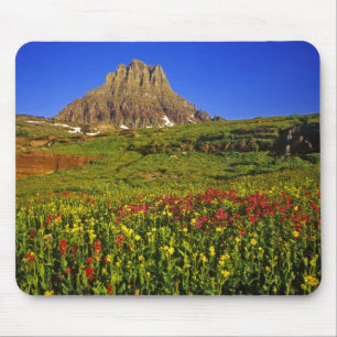 Alpine Wildblumen am Logan Pass im Gletscher Mousepad