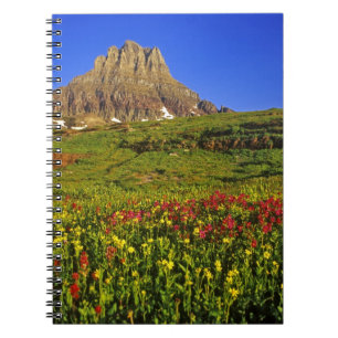 Alpine Wildblumen am Logan Pass im Gletscher Notizblock