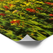 Alpine Wildblumen am Logan Pass im Gletscher Poster (Ecke)