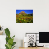 Alpine Wildblumen am Logan Pass im Gletscher Poster (Heimbüro)