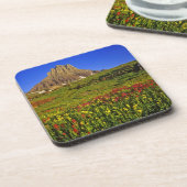 Alpine Wildblumen am Logan Pass im Gletscher Untersetzer (Linke Seite)