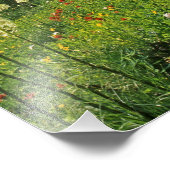 Alpine Wildblumen im Jewel Basin Fotodruck (Ecke)