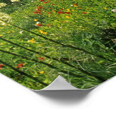Alpine Wildblumen im Jewel Basin Poster (Ecke)