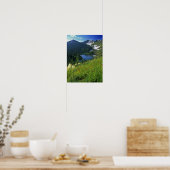 Alpine Wildblumen im Jewel Basin Poster (Küche)