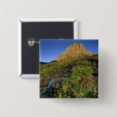 Alpine Wildblumen & Mt Clemens am Logan Pass Button (Vorne & Hinten)