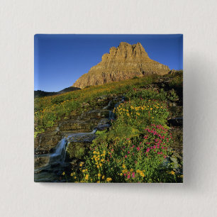 Alpine Wildblumen & Mt Clemens am Logan Pass Button