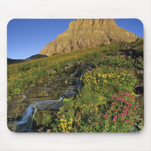 Alpine Wildblumen & Mt Clemens am Logan Pass Mousepad (Vorne)