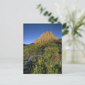 Alpine Wildblumen & Mt Clemens am Logan Pass Postkarte (Stehend Vorderseite)