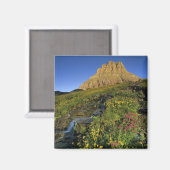 Alpine Wildblumen & Mt Clements am Logan Pass Magnet (Vorderseite/Rückseite)