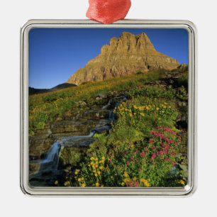 Alpine Wildblumen & Mt Clements am Logan Pass Ornament Aus Metall