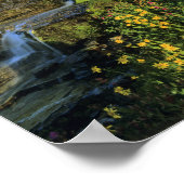 Alpine Wildblumen & Mt Clements am Logan Pass Poster (Ecke)