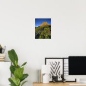 Alpine Wildblumen & Mt Clements am Logan Pass Poster (Heimbüro)