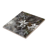 Alpines Edelweiss Fliese (Seite)
