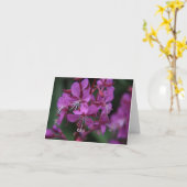 Alpines Fireweed notecard Karte (Gelbe Blume)