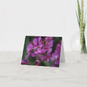 Alpines Fireweed notecard Karte (Vorderseite)