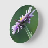 Alpines Gänseblümchen Runde Wanduhr (Winkel)