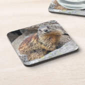 Alpines Marmot Set von 6 Untersetzer (Linke Seite)