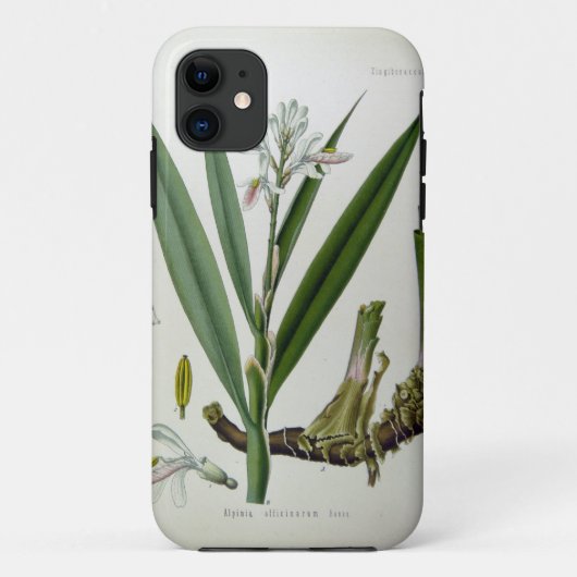 Alpinia officinarum Case-Mate iPhone hülle (Rückseite)
