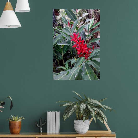 Alpínia purpurata 1 poster (Wohnzimmer 1)