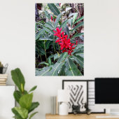 Alpínia purpurata 1 poster (Heimbüro)