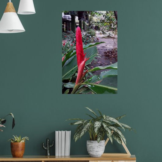 Alpínia purpurata 2 poster (Wohnzimmer 1)