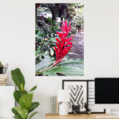 Alpínia purpurata 4 poster (Heimbüro)